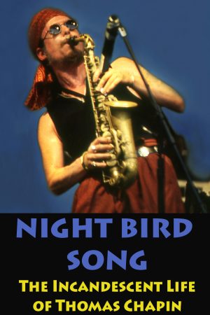 night-bird-song